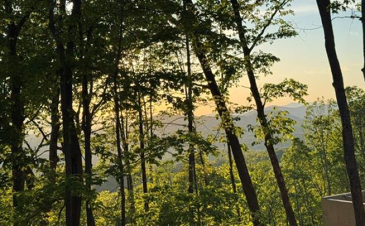 Pictures of Land property located at Lot 239 Kittatinny Drive, Mineral Bluff, GA 30559 for sales - image #1