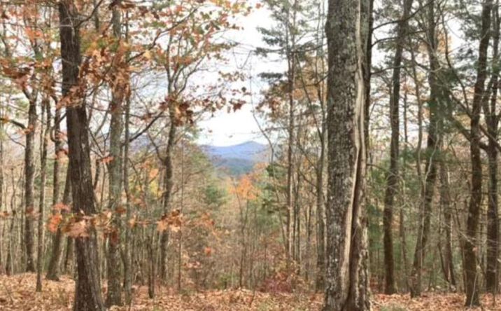 Pictures of Land property located at Lot 17 Abbott Mill Road, Ellijay, GA 30540 for sales - image #1