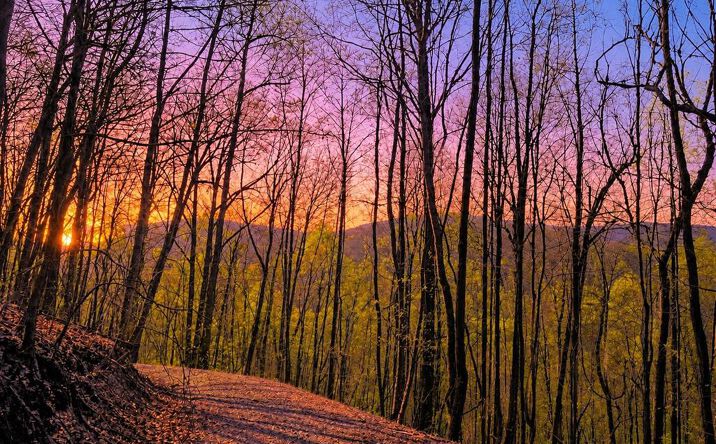 Pictures of Land property located at 29 AC Hidden Valley Drive, Ellijay, GA 30536 for sales - image #1