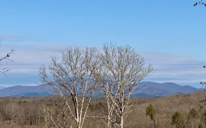 C4 Briar Woods Lane, Blue Ridge