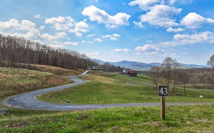 Pictures of Land property located at Lot 43 Big Valley Drive, Morganton, GA 30560 for sales - image #1