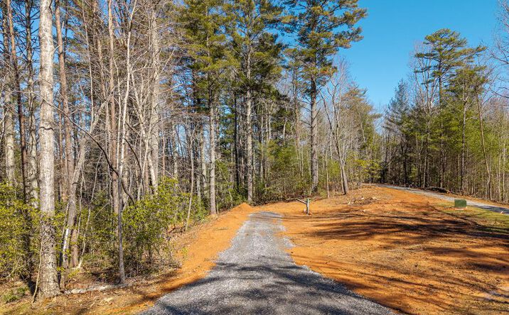 Pictures of Land property located at 77 Big Pine Hill, Blairsville, GA 30512 for sales - image #1