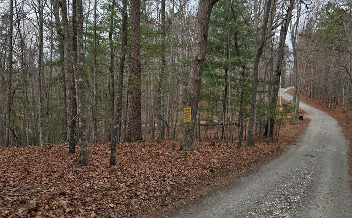 Pictures of Land property located at 8.5 Blue Berry Ridge, Morganton, GA 30560 for sales - image #1
