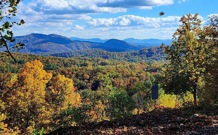 Pictures of Land property located at L46 Warbler Road, Murphy, NC 28906 for sales - image #1