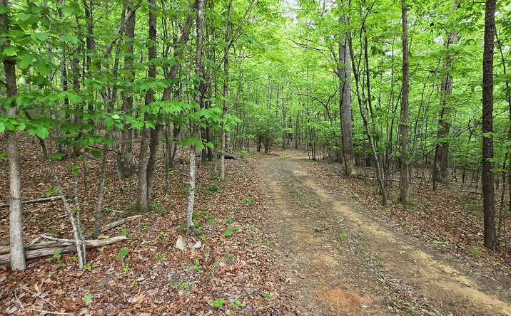 Pictures of Land property located at 3.5acre Dusty Trail, Morganton, GA 30560 for sales - image #1