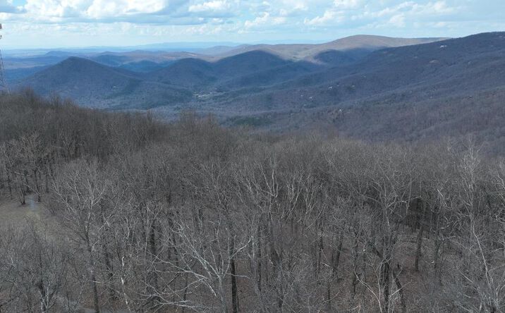 Pictures of Land property located at Trct C Old A T Approach Trail, Jasper, GA 30143 for sales - image #1