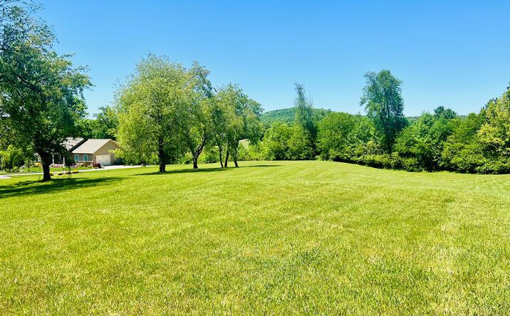 Pictures of Land property located at Lot 108 Owen Glen, Blairsville, GA 30512 for sales - image #1
