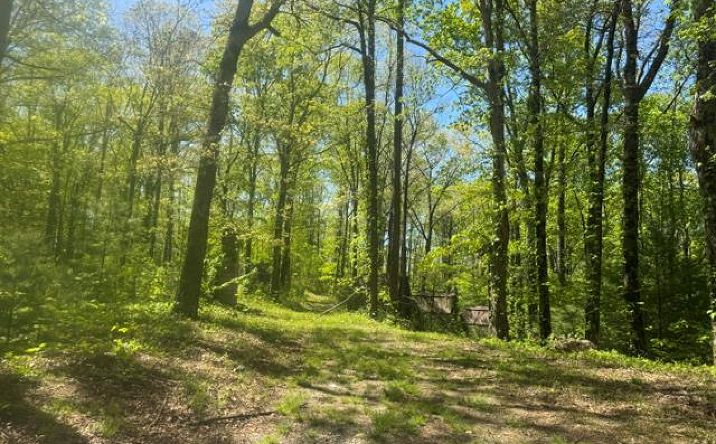 Pictures of Land property located at 557 Shelton Road, Suches, GA 30572 for sales - image #1