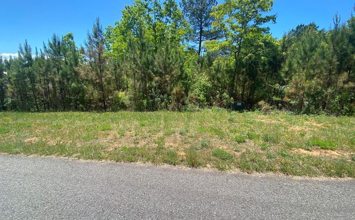 Pictures of Land property located at Lot 55 Village Loop, Blairsville, GA 30512 for sales - image #1