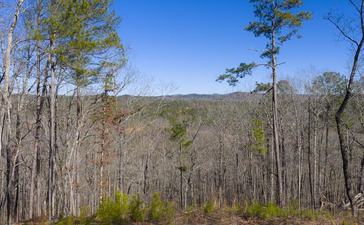 Pictures of Land property located at Lot 285 Anglers Ridge Road, Talking Rock, GA 30175 for sales - image #1