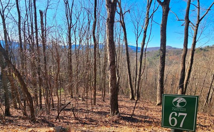 Pictures of Land property located at Lot 67 Wilderness Creek Way, Hothouse, NC 28906 for sales - image #1