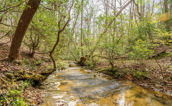 Pictures of Land property located at 3467 Carver Mill Road, Talking Rock, GA 30175 for sales - image #1