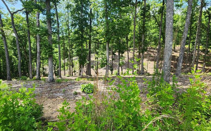 LT 106 Split Creek Road, Morganton