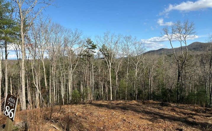 Pictures of Land property located at Lot 86 Lookout Ridge, Mineral Bluff, GA 30559 for sales - image #1