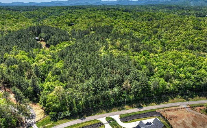 Pictures of Land property located at Lot 3 Grassy Creek Road, Copperhill, TN 37317 for sales - image #1
