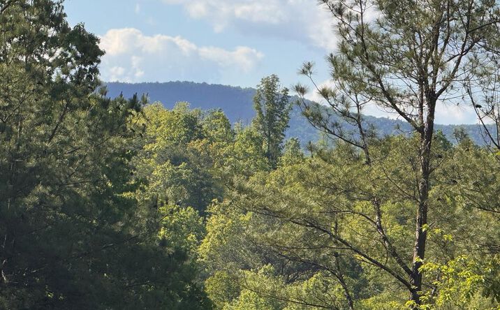 Pictures of Land property located at Lot 2 Grassy Creek Road, Copperhill, TN 37317 for sales - image #1