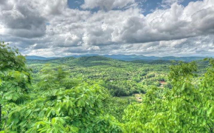 Pictures of Land property located at Lot 1 High Country Lane, Morganton, GA 30560 for sales - image #1