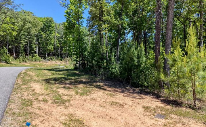 Pictures of Land property located at Lot 165 Highland Park, Blairsville, GA 30512 for sales - image #1