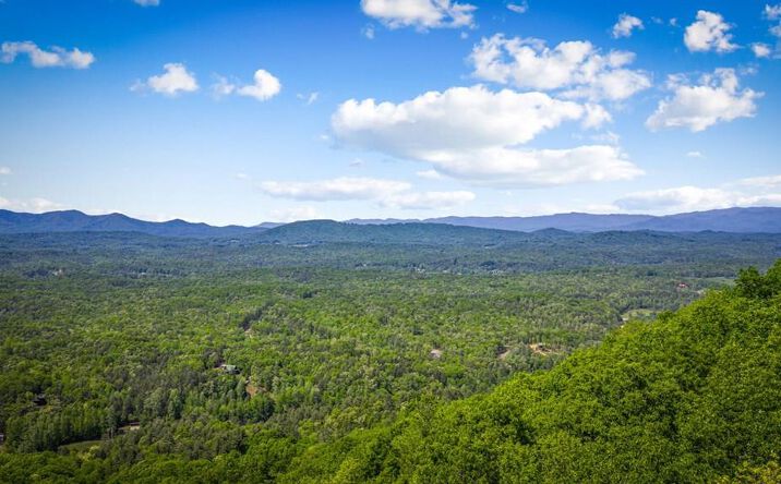 Pictures of Land property located at Lot 8 Ada Ridge Road, Mineral Bluff, GA 30559 for sales - image #1