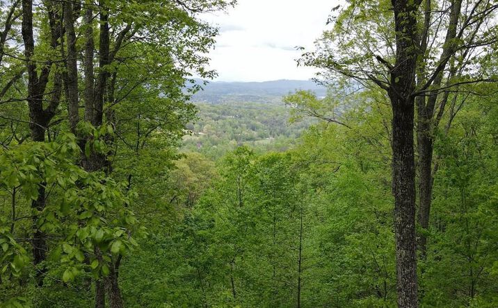 Pictures of Land property located at lot 118 Croft Mountain Road, Blairsville, GA 30512 for sales - image #1