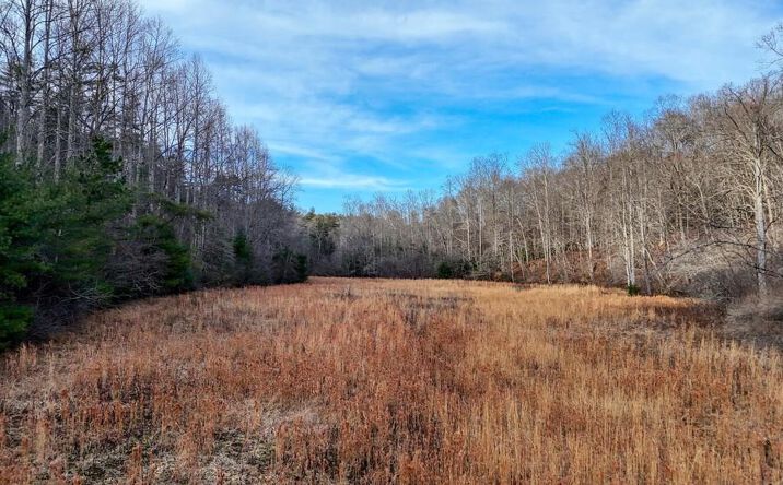 Pictures of Land property located at 476 Rainbow Road, Suches, GA 30572 for sales - image #1