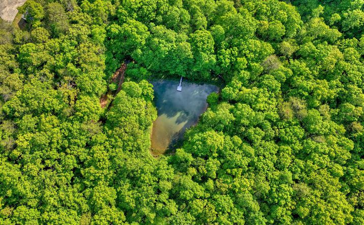 Pictures of Land property located at 8.52 AC Mcnelley Road, Morganton, GA 30560 for sales - image #1