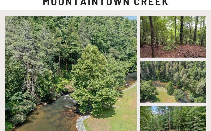 Pictures of Land property located at 940 Fir Lane, Ellijay, GA 30540 for sales - image #1