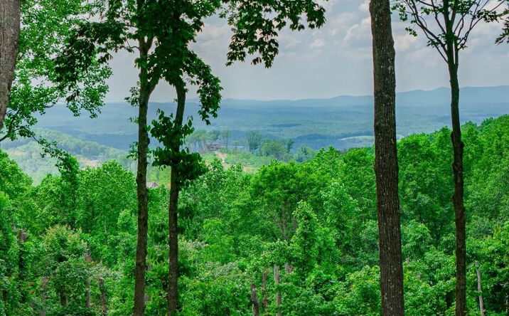 Pictures of Land property located at Lot 411 Calloway Mountain Road, Talking Rock, GA 30175 for sales - image #1