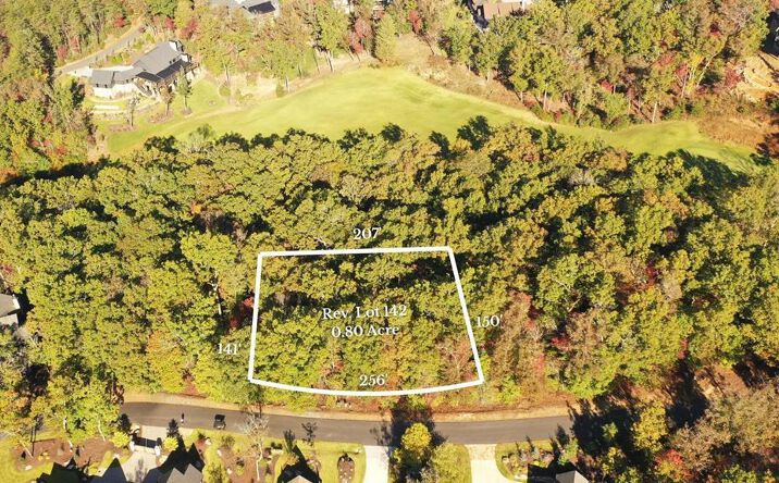 Pictures of Land property located at Lot 142 Hickory Way, Mineral Bluff, GA 30559 for sales - image #1