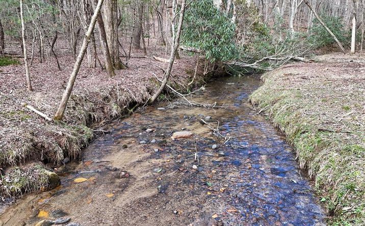 Pictures of Land property located at Lot 45B Synacia Drive, Mineral Bluff, GA 30559 for sales - image #1
