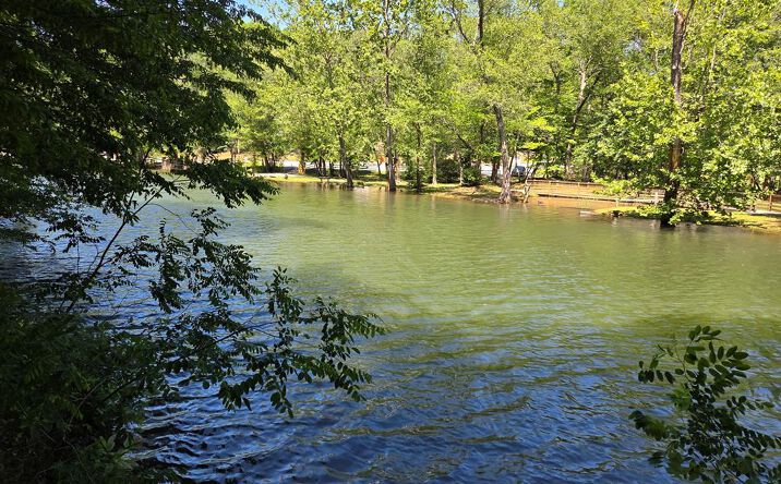 Pictures of Land property located at Lot 4 Ch Colwell Drive, Blairsville, GA 30512 for sales - image #1