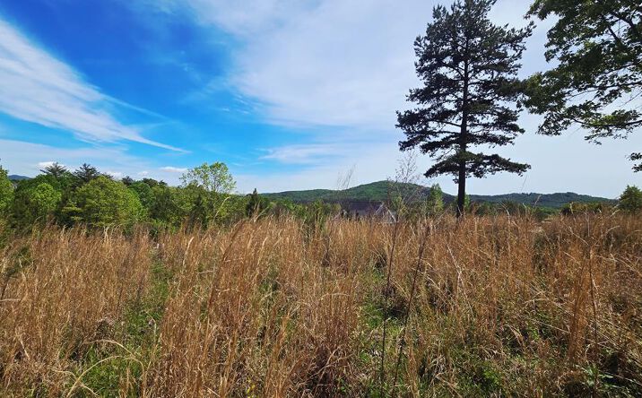 Pictures of Land property located at Lot 48 Water Oak Lane, Blairsville, GA 30512 for sales - image #1