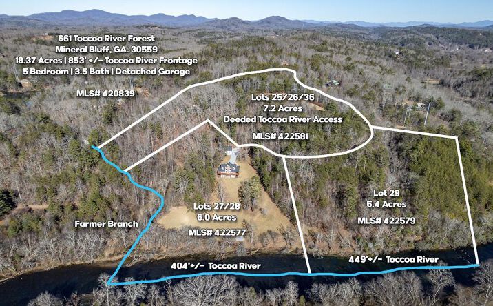 Pictures of Land property located at Lot 25+ Toccoa River Forest, Mineral Bluff, GA 30559 for sales - image #1