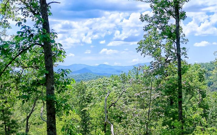 Pictures of Land property located at Lot 28 Bryson Creek, Murphy, NC 28906 for sales - image #1