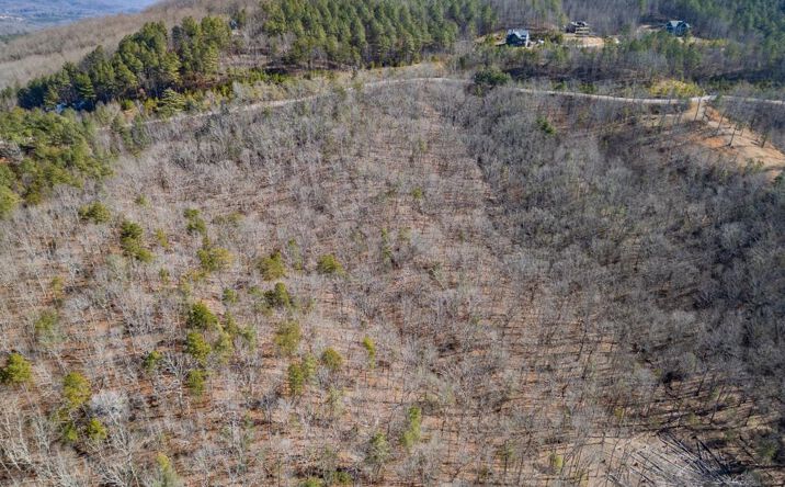Pictures of Land property located at Lot 370 Thirteen Hundred, Blairsville, GA 30512 for sales - image #1
