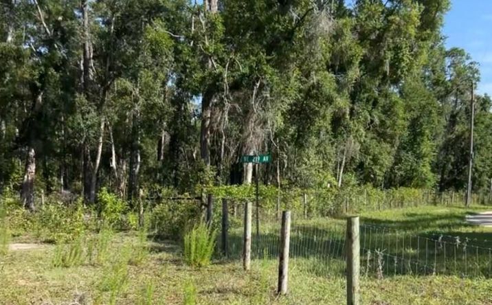 Pictures of Land property located at NE 489th St, Old Town, FL 32680 for sales - image #1
