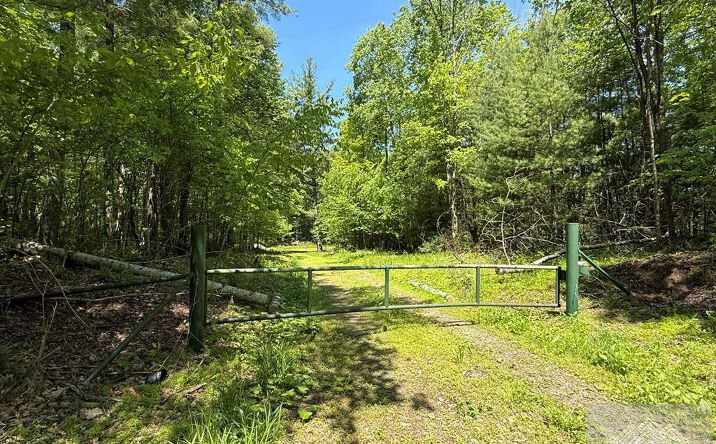 Pictures of Land, Special Purpose property located at Browning Lambert Mountain, Rock, WV 24747 for sales - image #1