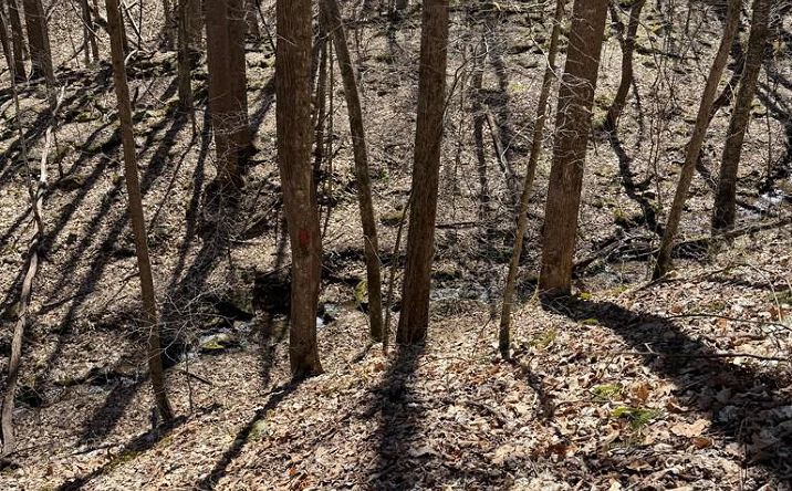 Pictures of Land property located at TBD Cordertown Rd, Coeburn, VA 24230 for sales - image #1
