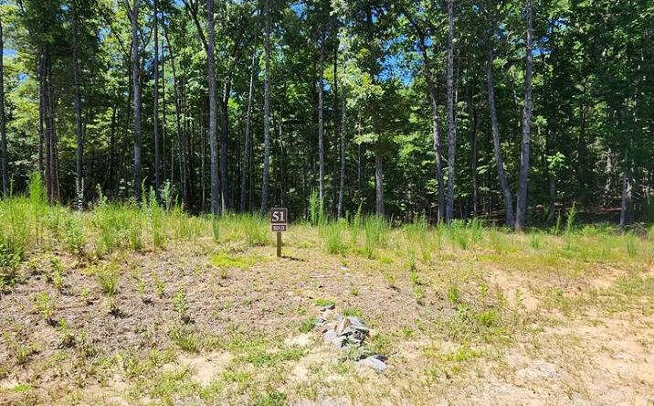 Pictures of Land property located at Lot 51 Ridge Drive, Morganton, GA 30560 for sales - image #1