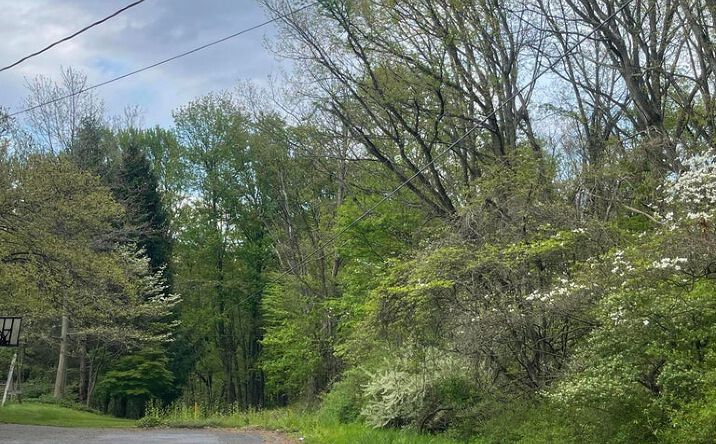 Pictures of Land property located at Sand Hill Rd, Montoursville, PA 17754 for sales - image #1