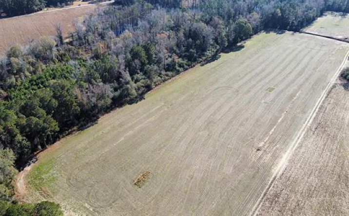 Pictures of Land property located at TBD Highway 917, Nichols, SC 29581 for sales - image #1