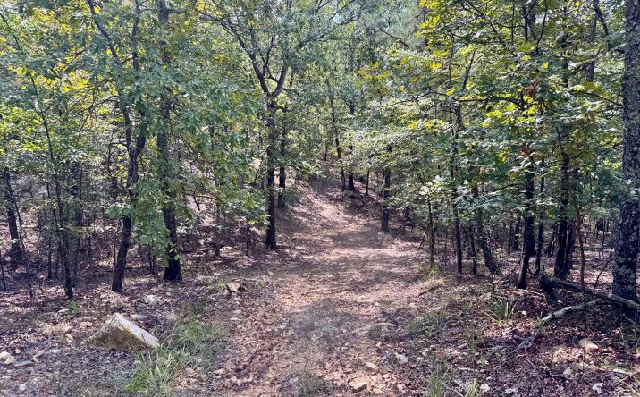 Pictures of Land property located at Tbd Broken Bow Trl, Lonsdale, AR 72087 for sales - image #1