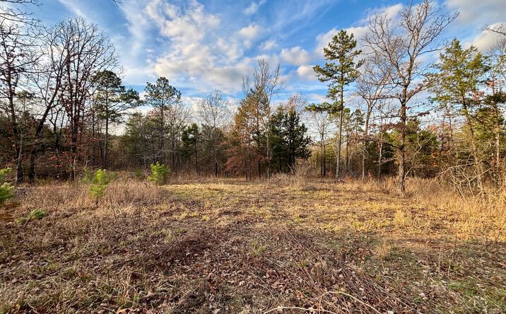 Pictures of Land property located at 100 White Rd, Heavener, OK 74937 for sales - image #1