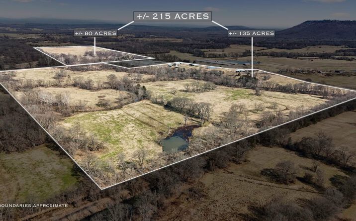 Pictures of Land property located at 647 N Sixhalf Mile Rd, Paris, AR 72855 for sales - image #1