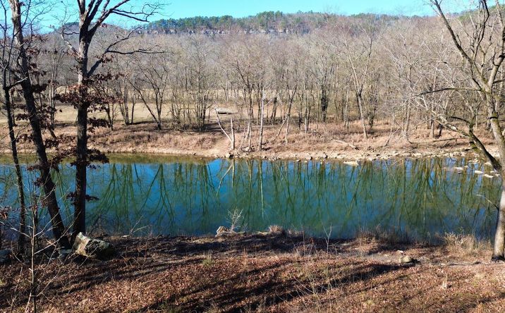 Pictures of Land property located at Stone County 12 Acres, Old Lexington, AR 72560 for sales - image #1