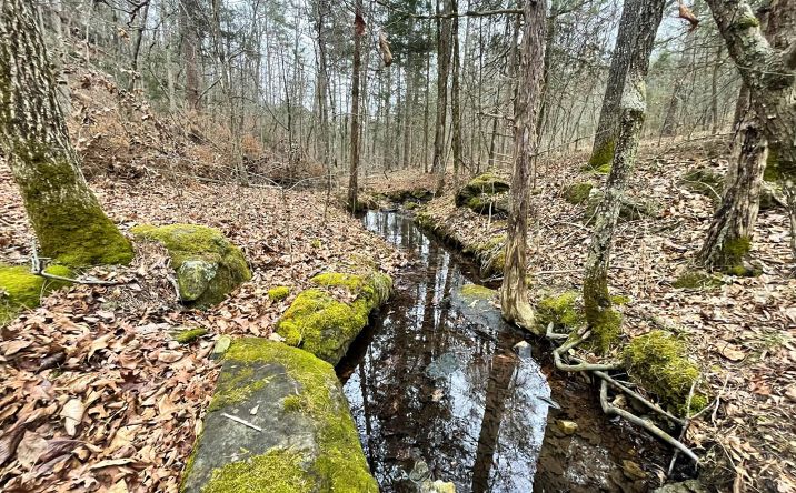 Pictures of Land property located at Tomahawk Slab Road, Saint Joe, AR 72675 for sales - image #1
