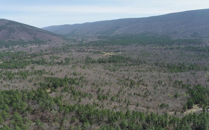 Pictures of Land property located at Tbd Hwy 59, Heavener, OK 74937 for sales - image #1