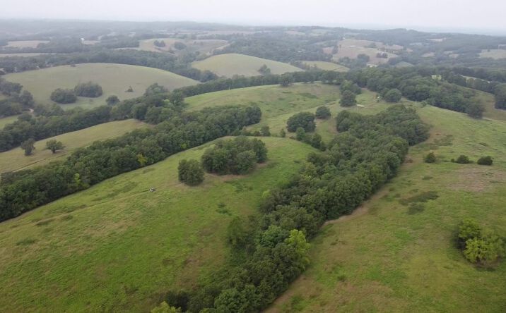 Pictures of Land property located at Tbd Barren Hollow Rd, Marshall, AR 72650 for sales - image #1
