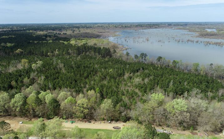 Pictures of Land property located at Tbd Pump Station Rd, Ashdown, AR 71822 for sales - image #1