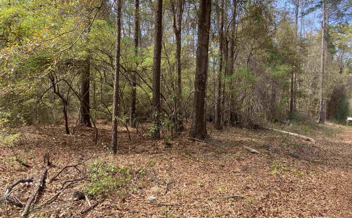 Pictures of Land property located at Tom Shivers Rd, Flomaton, AL 36441 for sales - image #1